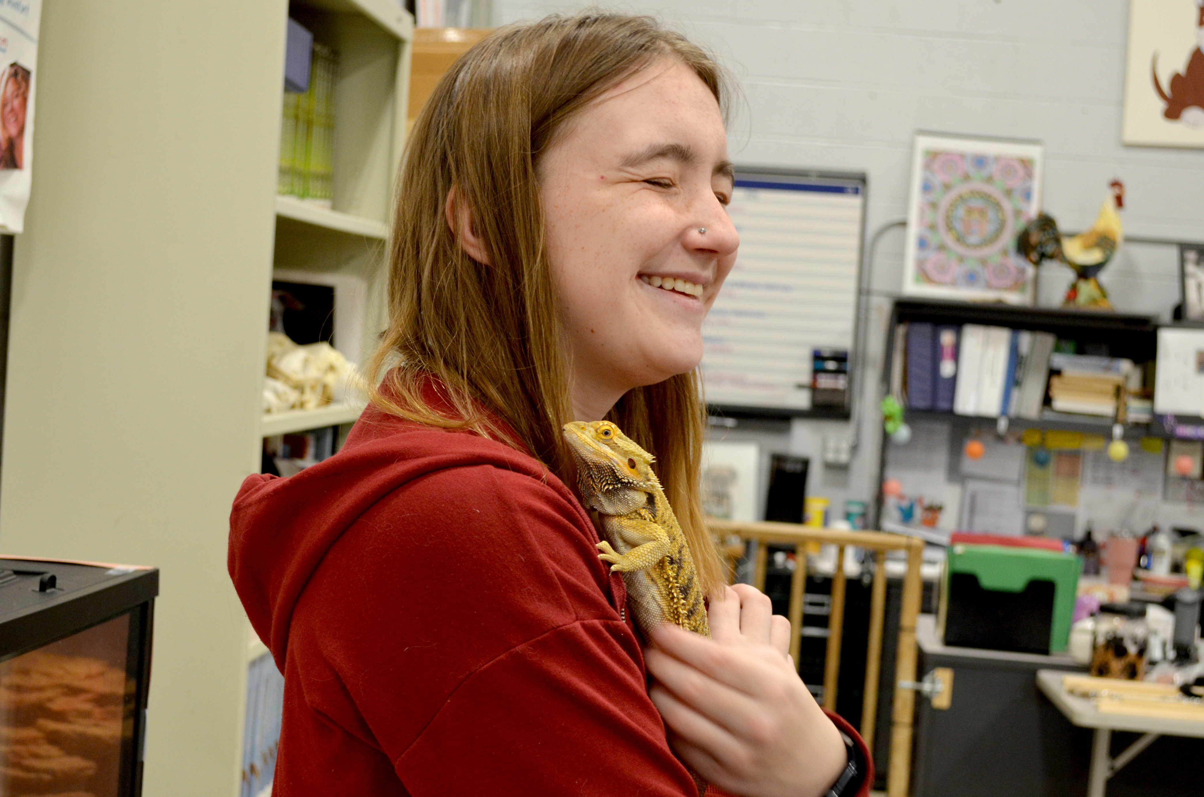 Animal Science: Veterinary Assistant