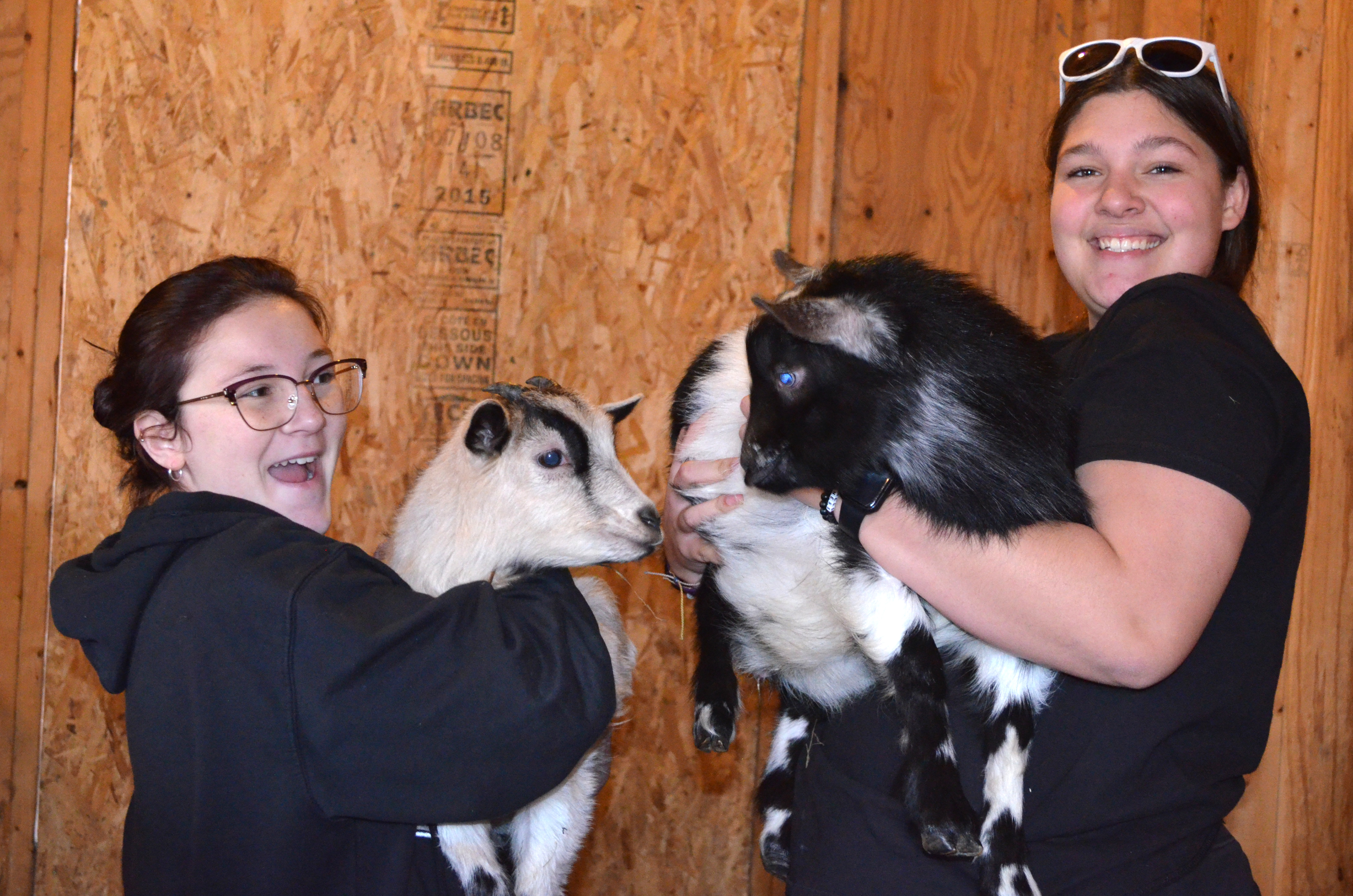 CV-TEC Large Animal Production class students holding pigs