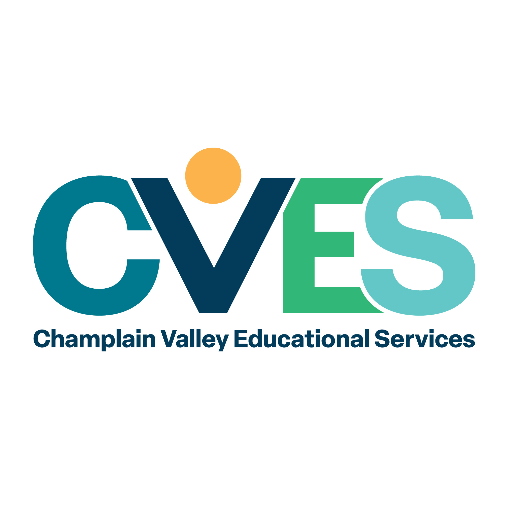 Behavior Specialist/ Analyst – Champlain Valley Educational Services