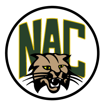 Northern Adirondack Central School District